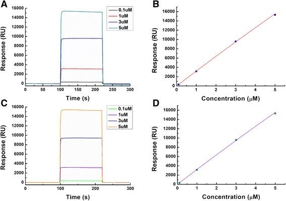 https://cdn.ncbi.nlm.nih.gov/pmc/blobs/8a34/4263063/f5702c4f8e55/12900_2014_24_Fig6_HTML.jpg