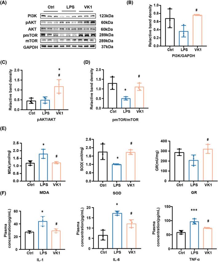 https://cdn.ncbi.nlm.nih.gov/pmc/blobs/8a35/10834346/ba90d762e1a5/JCSM-15-81-g004.jpg