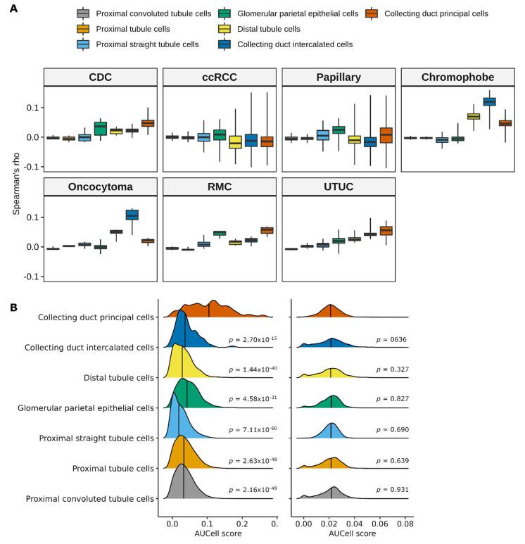 https://cdn.ncbi.nlm.nih.gov/pmc/blobs/8a35/8230422/214ce0dcf5de/cancers-13-02903-g005.jpg