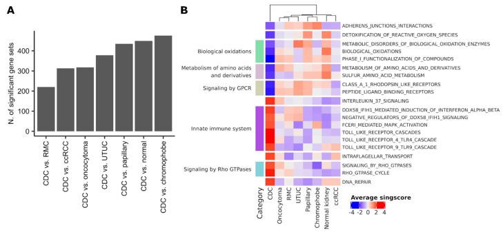 https://cdn.ncbi.nlm.nih.gov/pmc/blobs/8a35/8230422/f492c8316937/cancers-13-02903-g006.jpg