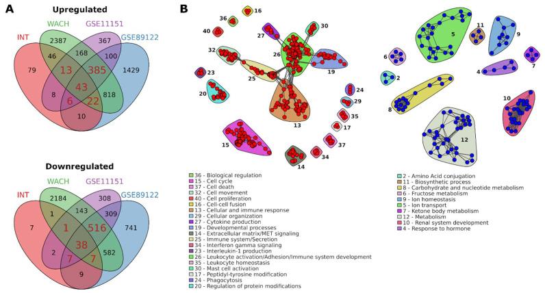 https://cdn.ncbi.nlm.nih.gov/pmc/blobs/8a35/8230422/fd3f918ad858/cancers-13-02903-g002.jpg