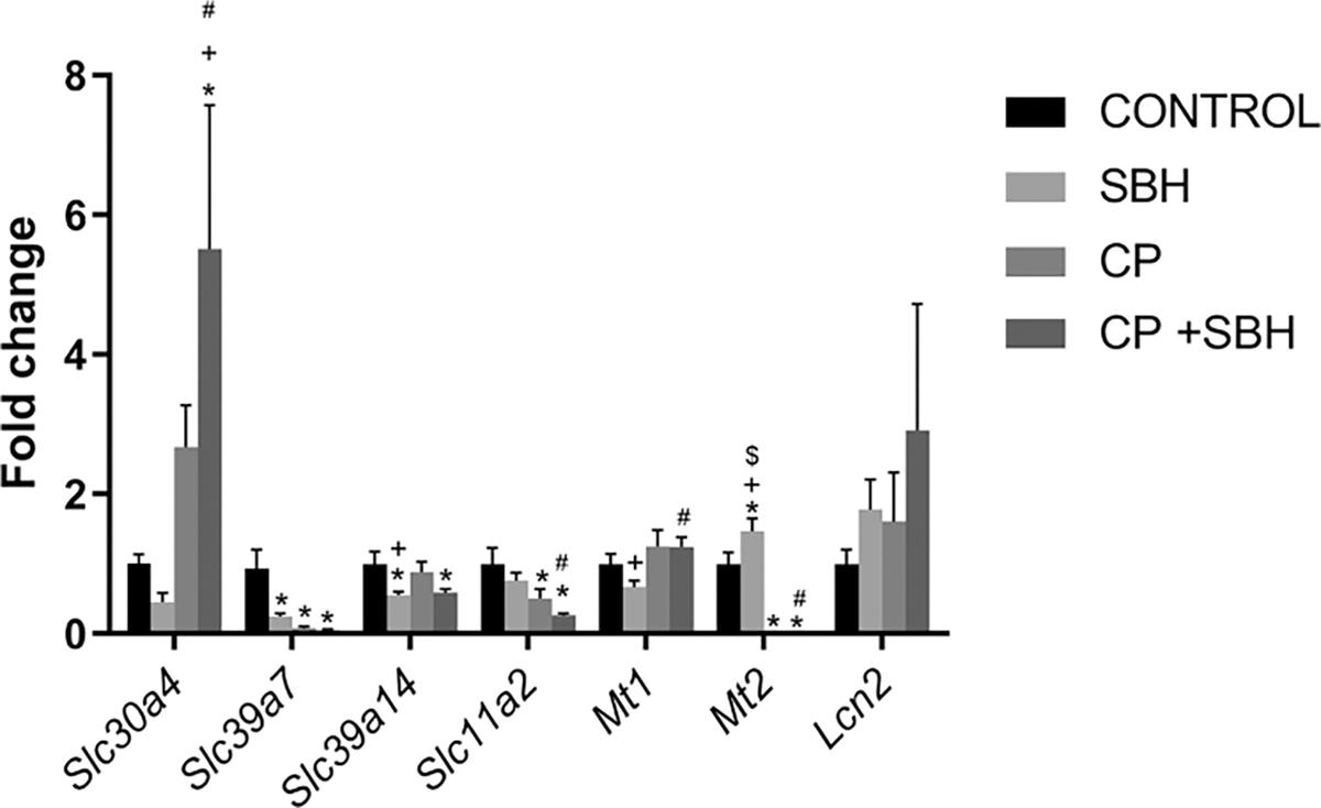 https://cdn.ncbi.nlm.nih.gov/pmc/blobs/8a37/11913417/5be7eac2ce8c/nihms-2058543-f0009.jpg