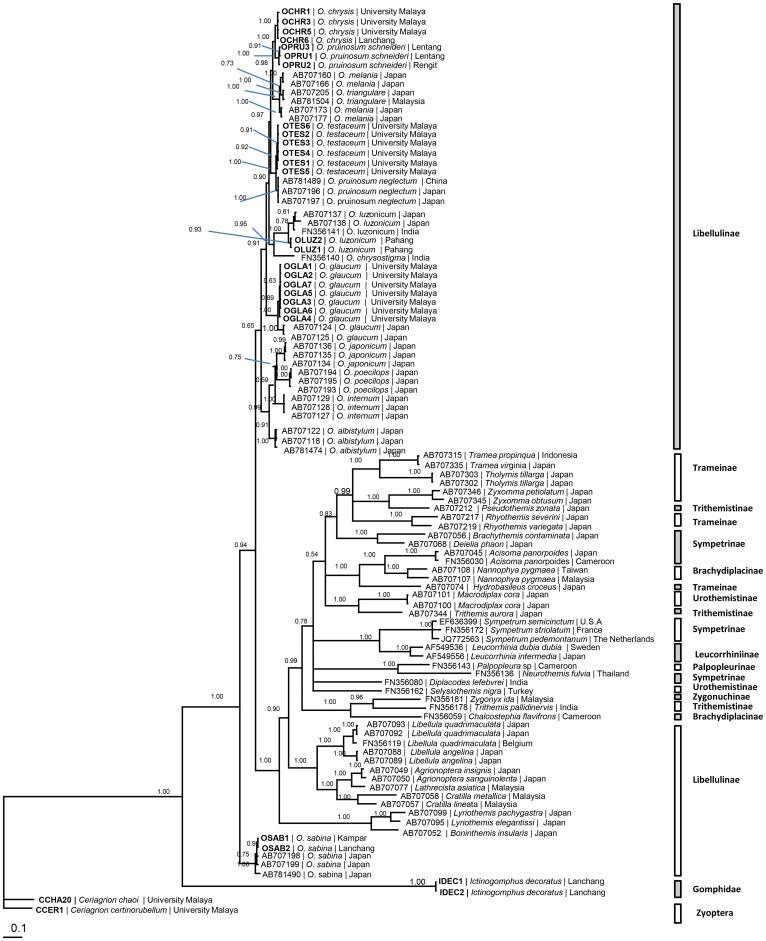 https://cdn.ncbi.nlm.nih.gov/pmc/blobs/8a37/5381552/b6840fce910f/srep05553-f3.jpg