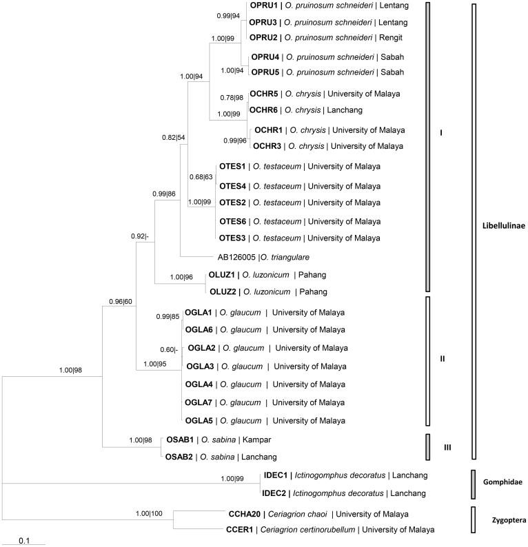 https://cdn.ncbi.nlm.nih.gov/pmc/blobs/8a37/5381552/e1d0eae94c5c/srep05553-f4.jpg
