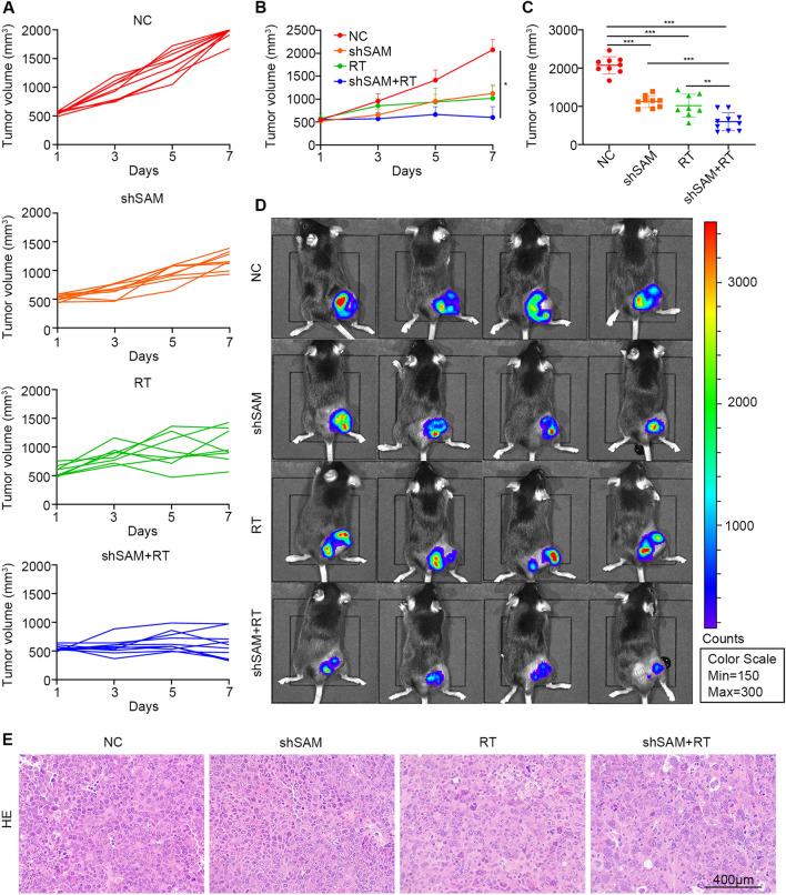 https://cdn.ncbi.nlm.nih.gov/pmc/blobs/8a37/9798699/1c61cf5f5152/12967_2022_3844_Fig7_HTML.jpg
