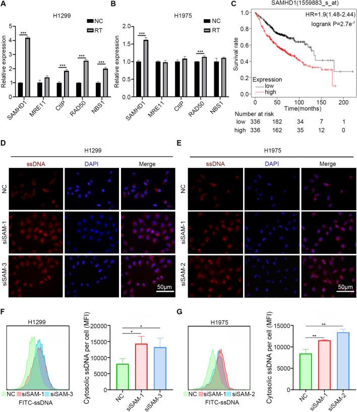 https://cdn.ncbi.nlm.nih.gov/pmc/blobs/8a37/9798699/77b76c89a2e5/12967_2022_3844_Fig1_HTML.jpg