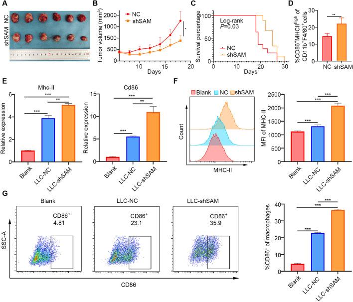 https://cdn.ncbi.nlm.nih.gov/pmc/blobs/8a37/9798699/8828739edf69/12967_2022_3844_Fig3_HTML.jpg