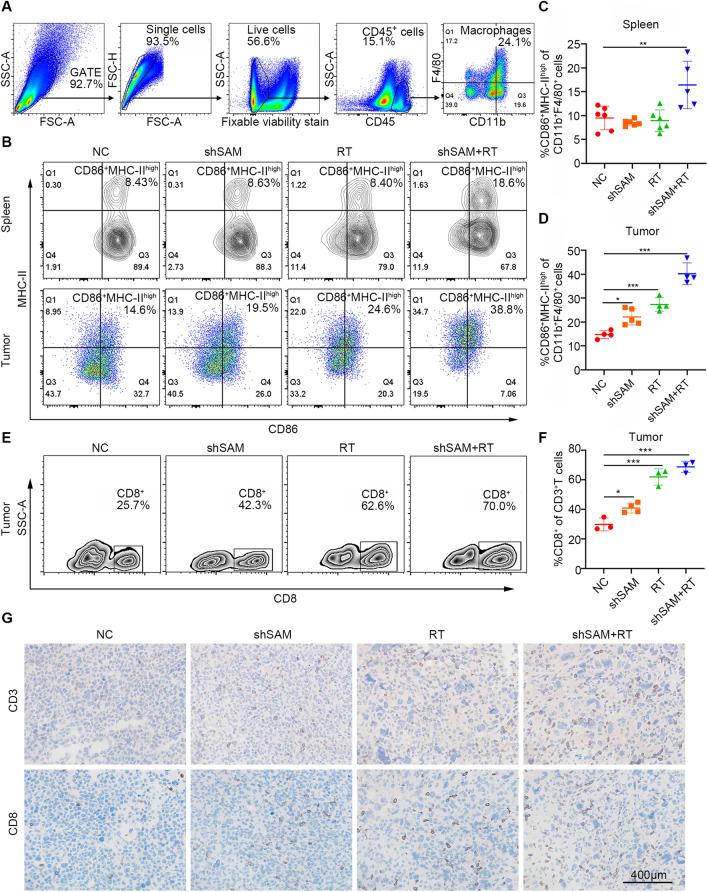 https://cdn.ncbi.nlm.nih.gov/pmc/blobs/8a37/9798699/a30dca9eeb7e/12967_2022_3844_Fig8_HTML.jpg