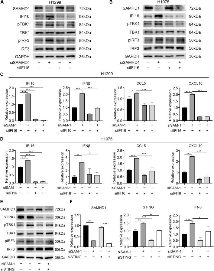 https://cdn.ncbi.nlm.nih.gov/pmc/blobs/8a37/9798699/edf6b7265ecb/12967_2022_3844_Fig4_HTML.jpg