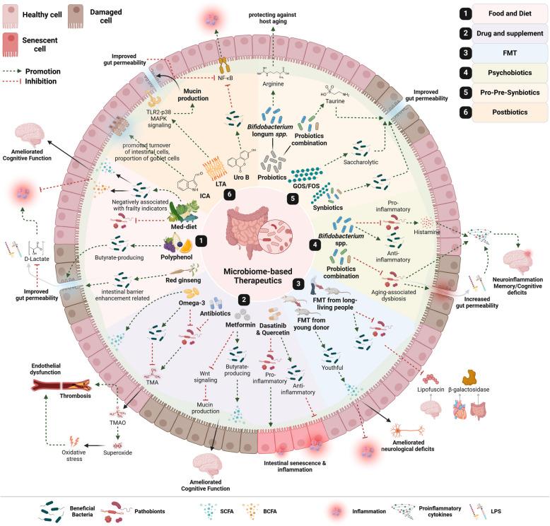 https://cdn.ncbi.nlm.nih.gov/pmc/blobs/8a38/12220006/220f987c8557/13073_2025_1493_Fig4_HTML.jpg