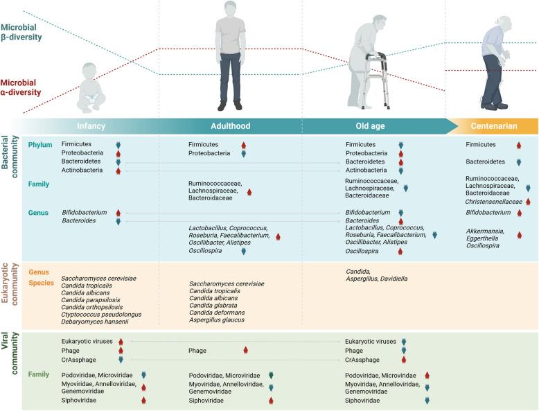 https://cdn.ncbi.nlm.nih.gov/pmc/blobs/8a38/12220006/4c36fa3e2041/13073_2025_1493_Fig2_HTML.jpg
