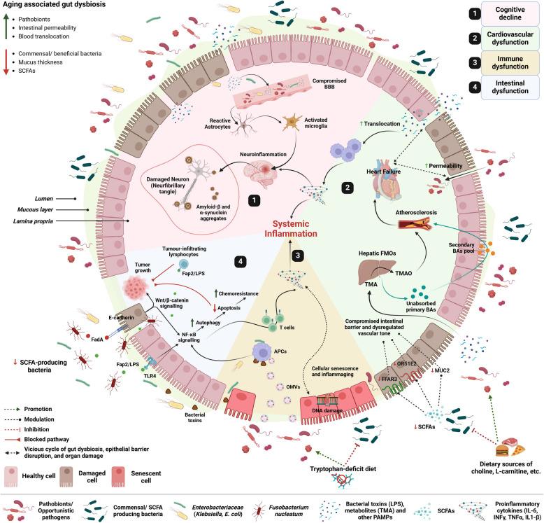 https://cdn.ncbi.nlm.nih.gov/pmc/blobs/8a38/12220006/c172c0f5687a/13073_2025_1493_Fig3_HTML.jpg