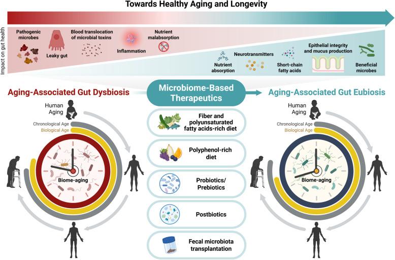 https://cdn.ncbi.nlm.nih.gov/pmc/blobs/8a38/12220006/f0f2b03f6e20/13073_2025_1493_Fig1_HTML.jpg