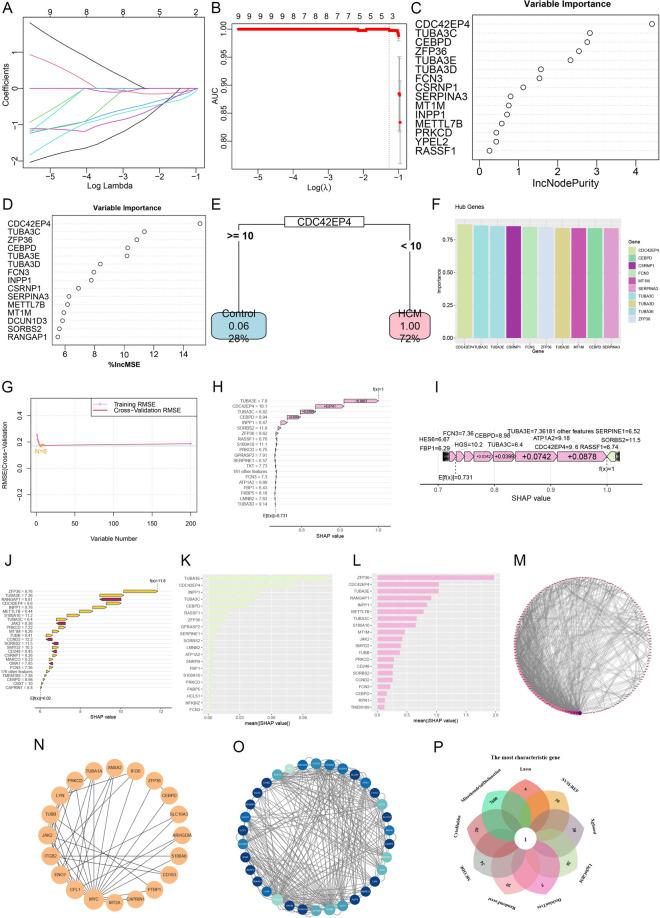 https://cdn.ncbi.nlm.nih.gov/pmc/blobs/8a3b/12041389/3e1585e63314/41598_2025_97534_Fig5_HTML.jpg