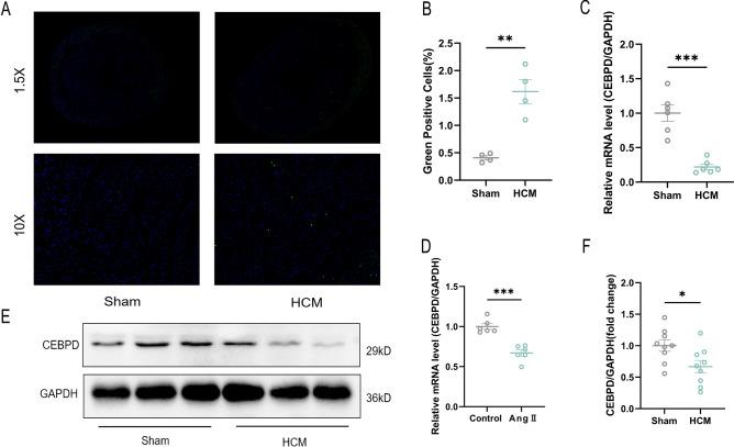 https://cdn.ncbi.nlm.nih.gov/pmc/blobs/8a3b/12041389/477d967d921d/41598_2025_97534_Fig8_HTML.jpg