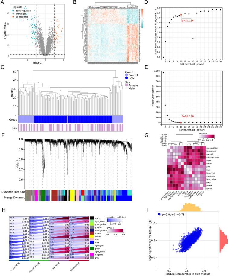 https://cdn.ncbi.nlm.nih.gov/pmc/blobs/8a3b/12041389/7720c733e9a5/41598_2025_97534_Fig2_HTML.jpg
