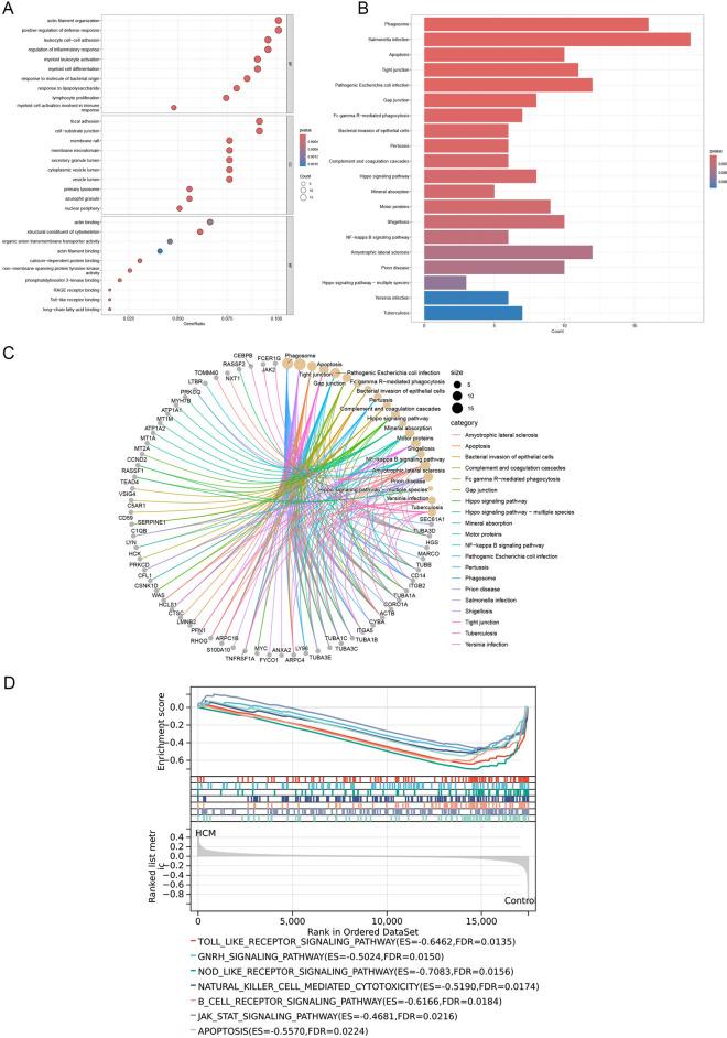 https://cdn.ncbi.nlm.nih.gov/pmc/blobs/8a3b/12041389/a3b8fca920e1/41598_2025_97534_Fig3_HTML.jpg