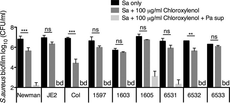 https://cdn.ncbi.nlm.nih.gov/pmc/blobs/8a3b/6667622/64995205519d/mBio.01501-19-f0001.jpg