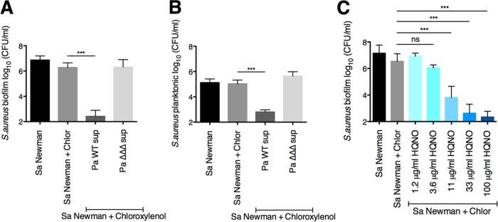 https://cdn.ncbi.nlm.nih.gov/pmc/blobs/8a3b/6667622/99996408d48f/mBio.01501-19-f0003.jpg