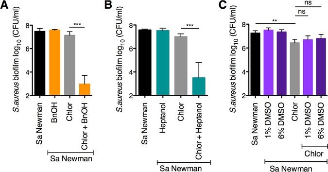 https://cdn.ncbi.nlm.nih.gov/pmc/blobs/8a3b/6667622/bb9ad3510a4b/mBio.01501-19-f0005.jpg