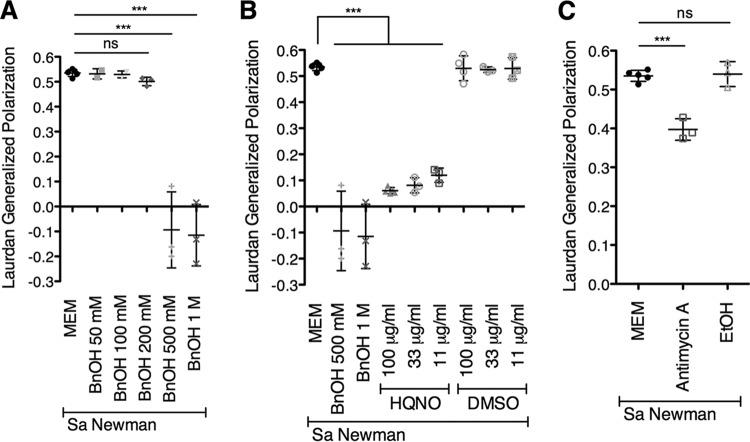 https://cdn.ncbi.nlm.nih.gov/pmc/blobs/8a3b/6667622/c967fd5d93a9/mBio.01501-19-f0004.jpg