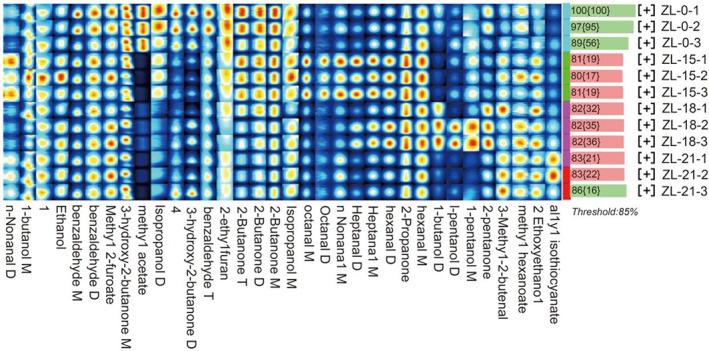 https://cdn.ncbi.nlm.nih.gov/pmc/blobs/8a3d/10261763/9b73dd809de8/FSN3-11-3516-g007.jpg