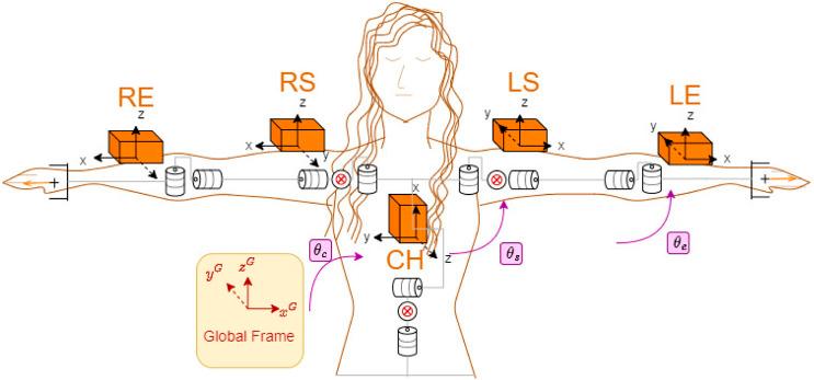 https://cdn.ncbi.nlm.nih.gov/pmc/blobs/8a3d/10811071/508f389f55a4/frobt-10-1290104-g003.jpg