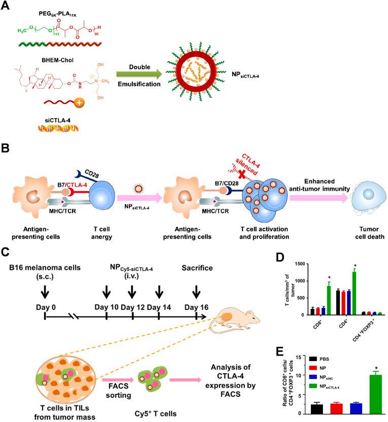 https://cdn.ncbi.nlm.nih.gov/pmc/blobs/8a3d/11699619/18edcd9c22c1/gr14.jpg