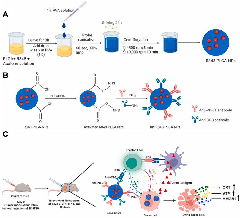 https://cdn.ncbi.nlm.nih.gov/pmc/blobs/8a3d/11699619/43294489916e/gr17.jpg