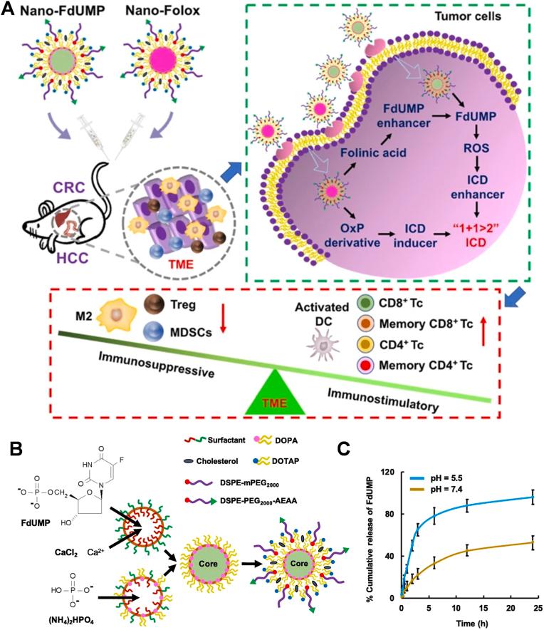 https://cdn.ncbi.nlm.nih.gov/pmc/blobs/8a3d/11699619/a5f339f93346/gr15.jpg