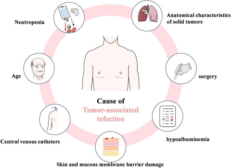 https://cdn.ncbi.nlm.nih.gov/pmc/blobs/8a3d/11699619/b39593ffe2c1/gr4.jpg