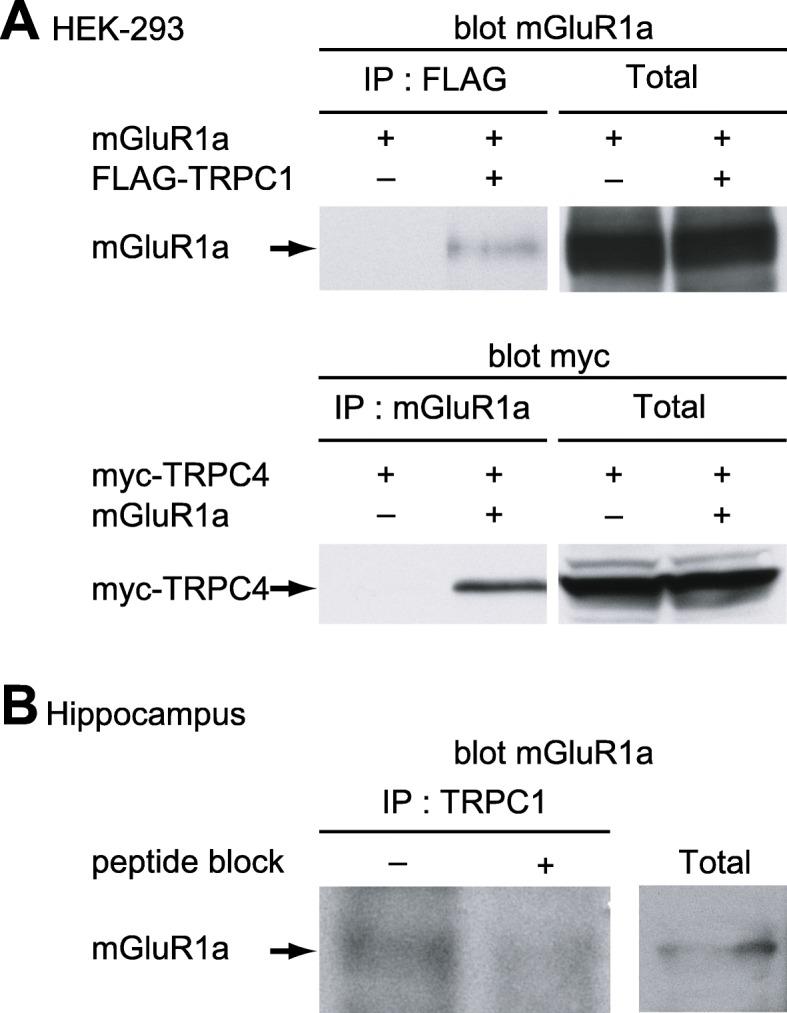 https://cdn.ncbi.nlm.nih.gov/pmc/blobs/8a3e/6988362/3053cd25ca0c/13041_2020_558_Fig3_HTML.jpg