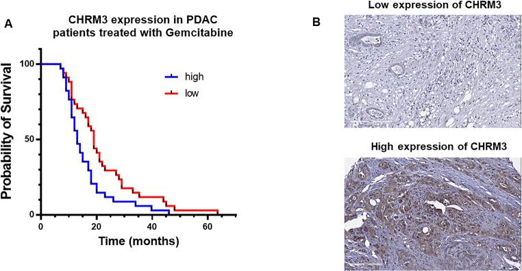 https://cdn.ncbi.nlm.nih.gov/pmc/blobs/8a3f/11438711/ec3200d83995/280_2024_4712_Fig7_HTML.jpg