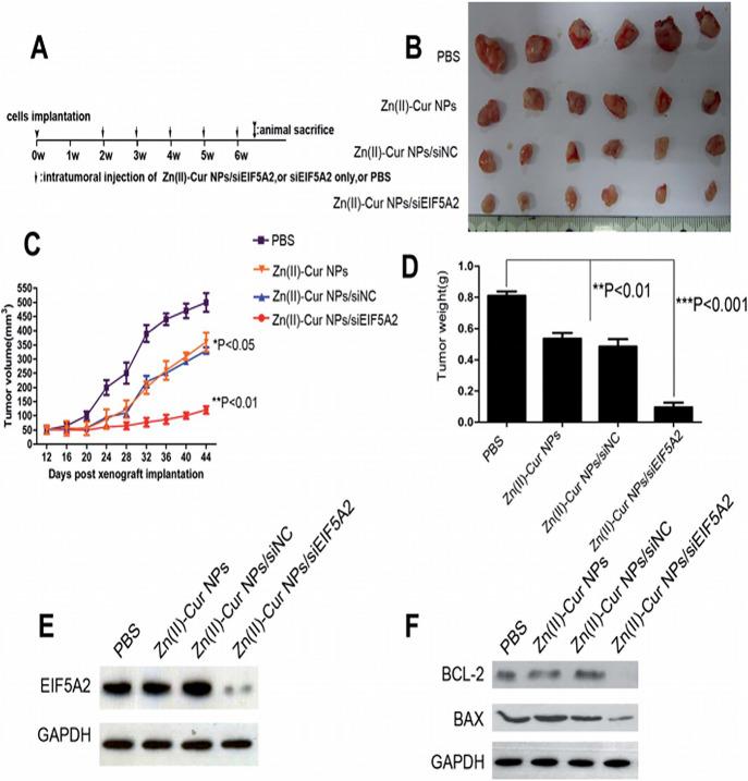 https://cdn.ncbi.nlm.nih.gov/pmc/blobs/8a3f/8015217/e21bca8e7783/co0c00099_0004.jpg