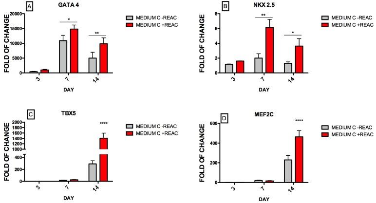 https://cdn.ncbi.nlm.nih.gov/pmc/blobs/8a41/6343882/182a2e2e7637/pone.0211188.g003.jpg