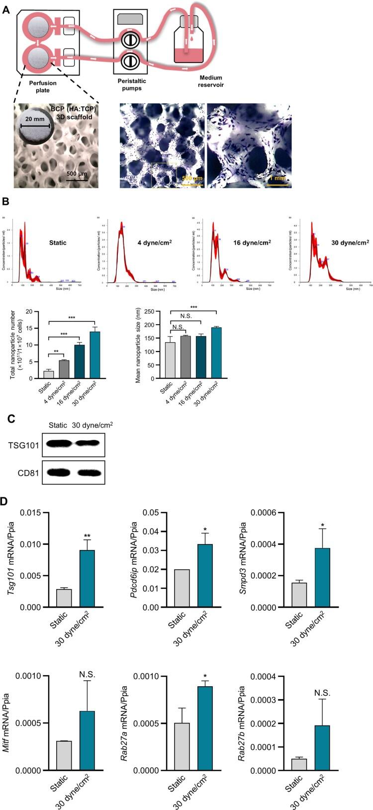 https://cdn.ncbi.nlm.nih.gov/pmc/blobs/8a42/11497576/4d74c3b884d7/TACS_A_2409460_F0001_OC.jpg