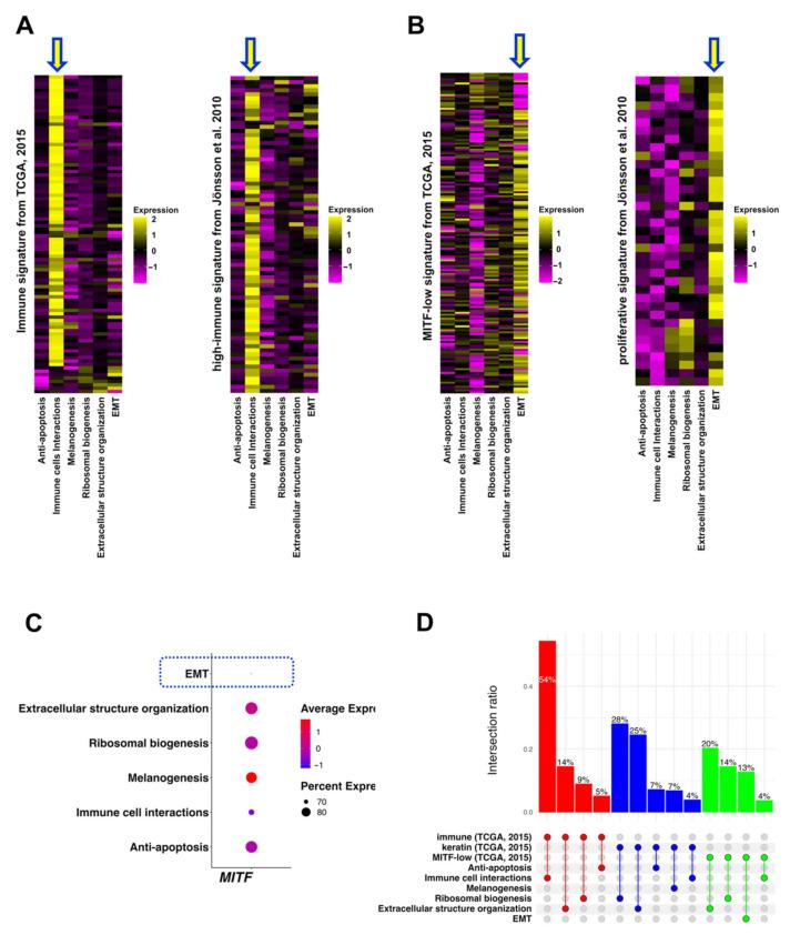 https://cdn.ncbi.nlm.nih.gov/pmc/blobs/8a43/9313451/cd6ae9ae9d32/biomedicines-10-01478-g005.jpg