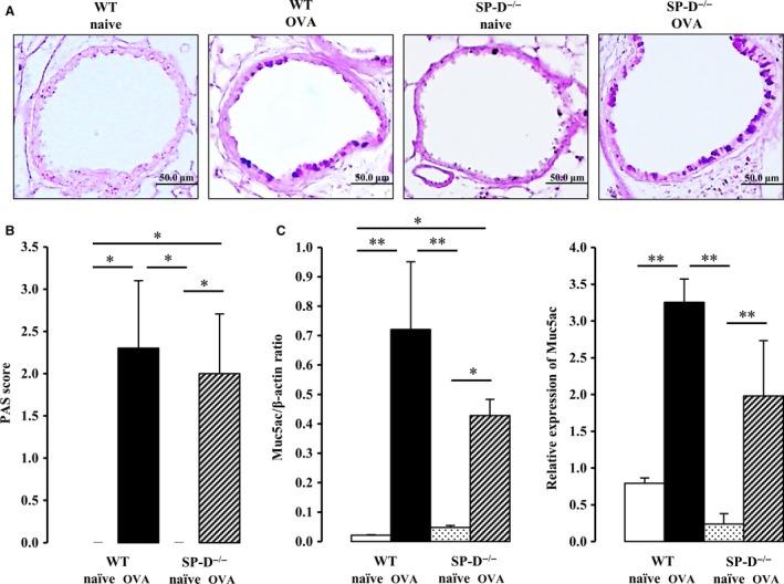 https://cdn.ncbi.nlm.nih.gov/pmc/blobs/8a45/5789724/dde1f9c1a6f8/PHY2-6-e13568-g003.jpg