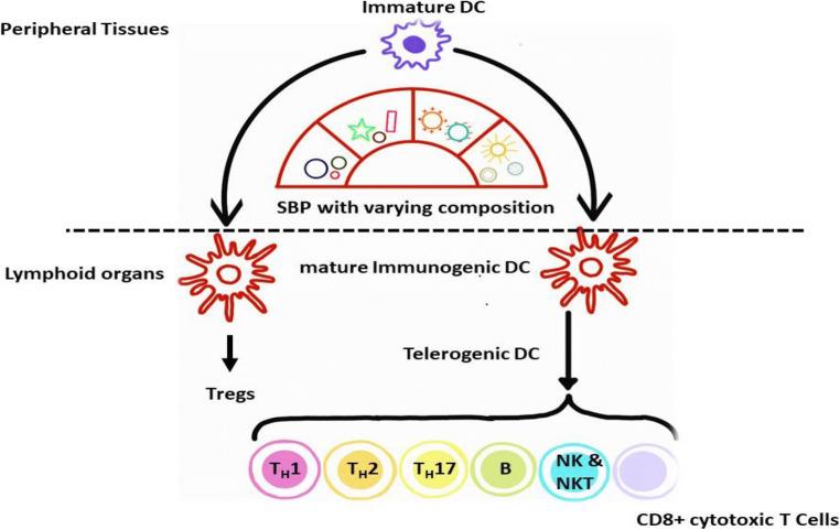 https://cdn.ncbi.nlm.nih.gov/pmc/blobs/8a46/7451701/01c9fd998a97/12011_2020_2353_Fig1_HTML.jpg