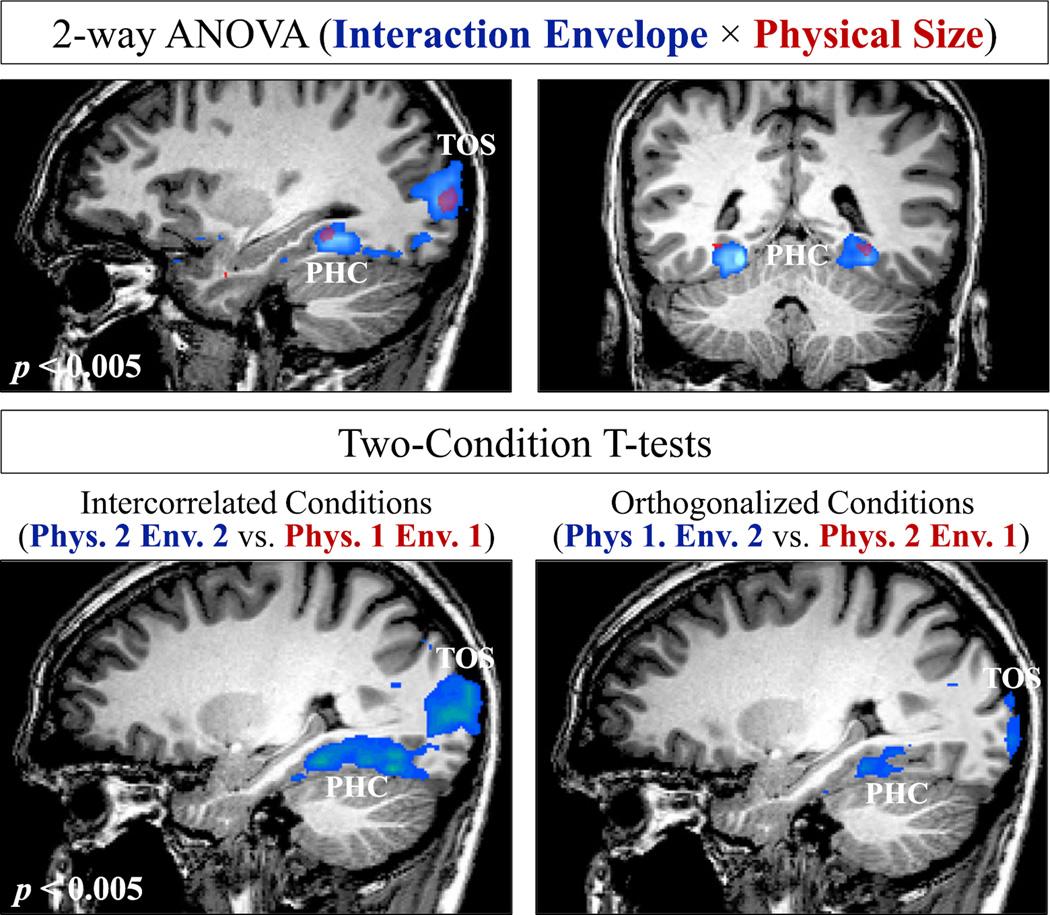 https://cdn.ncbi.nlm.nih.gov/pmc/blobs/8a47/4655824/6ab245a7be27/nihms735426f4.jpg