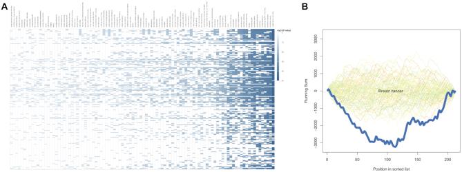 https://cdn.ncbi.nlm.nih.gov/pmc/blobs/8a4b/7319446/9e349b6b54c9/gkaa309fig2.jpg