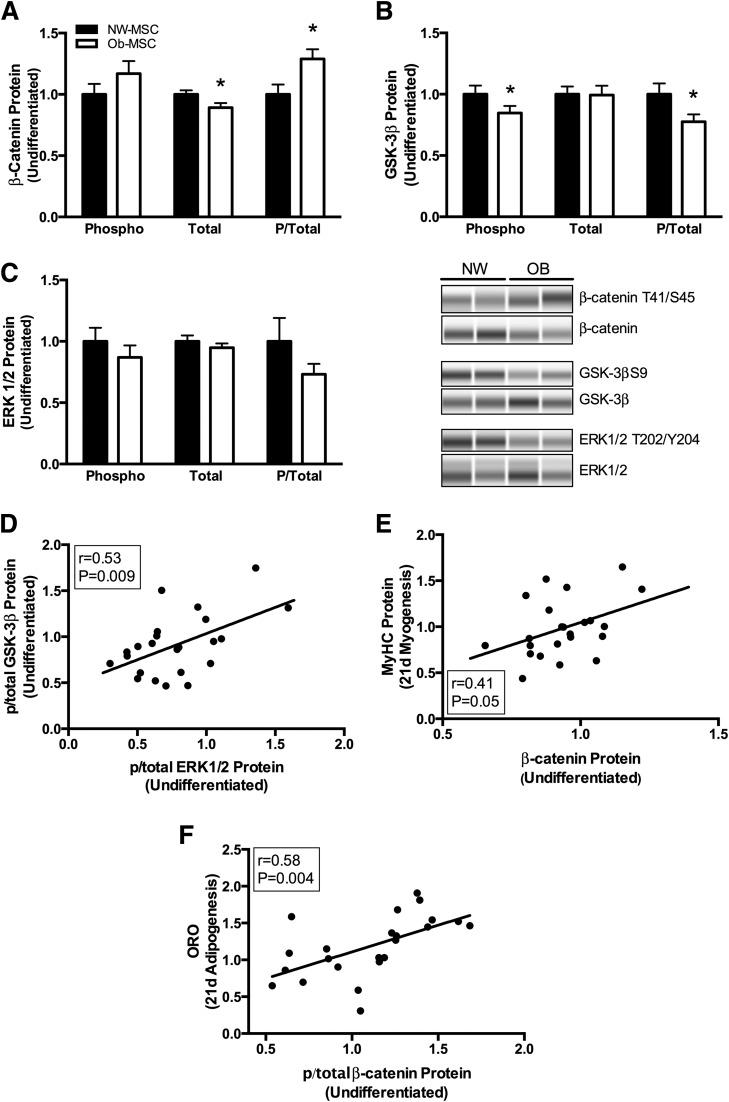 https://cdn.ncbi.nlm.nih.gov/pmc/blobs/8a4c/4764150/093129371d06/db150849f5.jpg