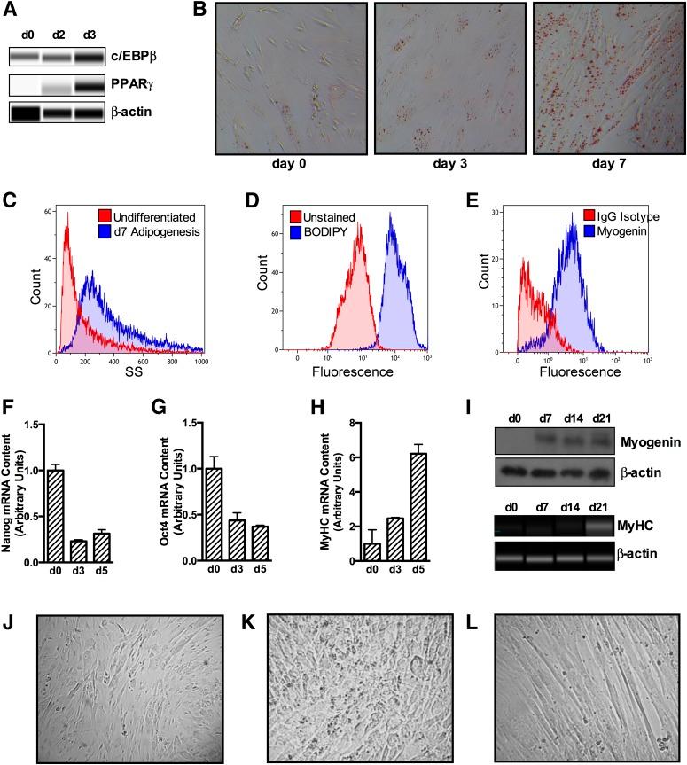 https://cdn.ncbi.nlm.nih.gov/pmc/blobs/8a4c/4764150/4dfc1f55dbb3/db150849f2.jpg