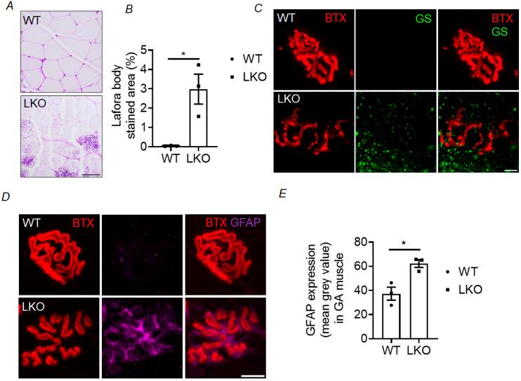 https://cdn.ncbi.nlm.nih.gov/pmc/blobs/8a4d/11512103/6bef3dfc2534/dmm-17-050905-g7.jpg