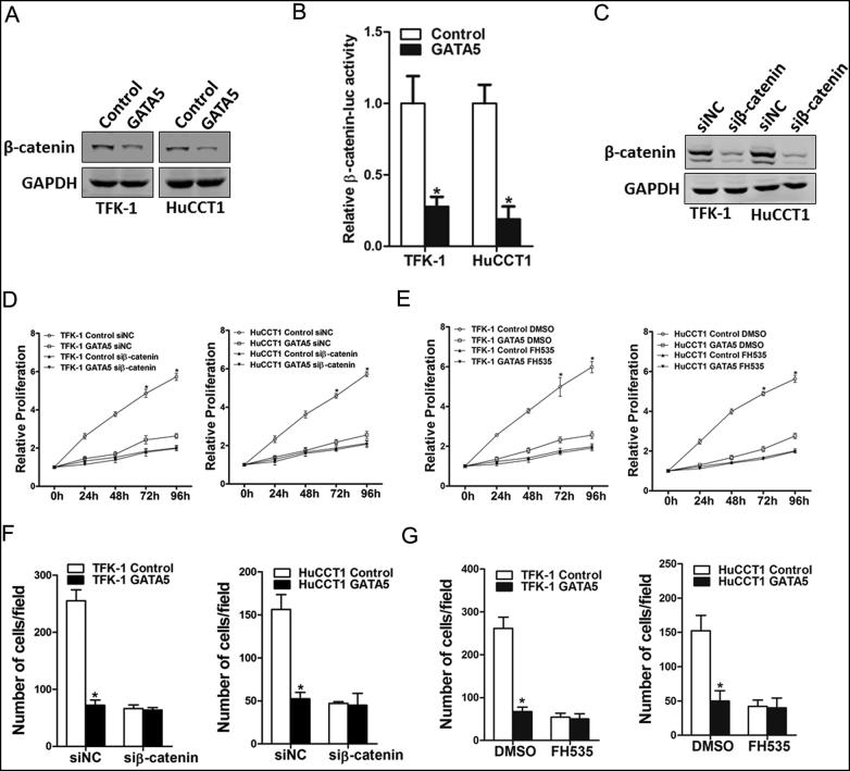 https://cdn.ncbi.nlm.nih.gov/pmc/blobs/8a4e/5854920/3bff0838877a/gr5.jpg