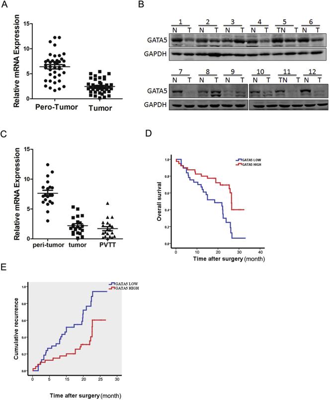 https://cdn.ncbi.nlm.nih.gov/pmc/blobs/8a4e/5854920/89bc1c6af9ad/gr1.jpg