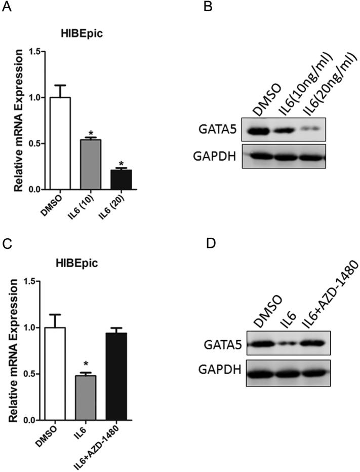 https://cdn.ncbi.nlm.nih.gov/pmc/blobs/8a4e/5854920/fac4e147b523/gr3.jpg