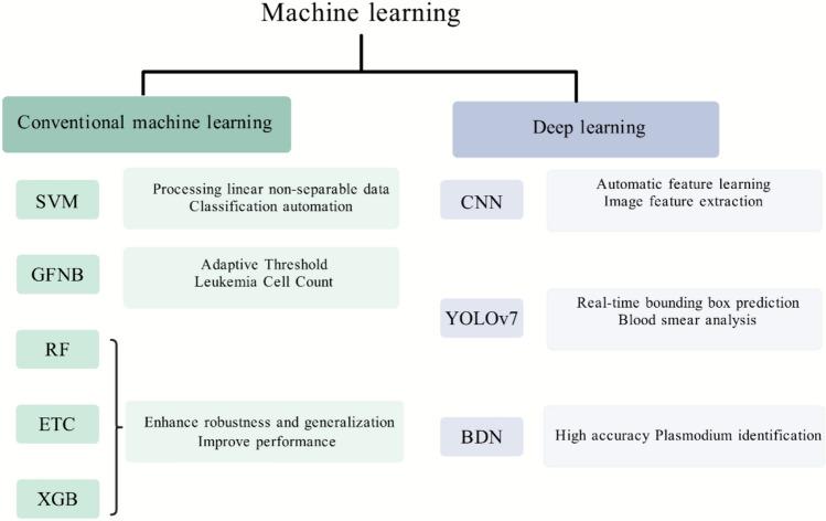 https://cdn.ncbi.nlm.nih.gov/pmc/blobs/8a4f/11303489/fef77312d163/10238_2024_1379_Fig2_HTML.jpg