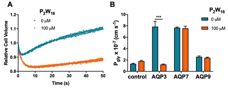 https://cdn.ncbi.nlm.nih.gov/pmc/blobs/8a4f/7177757/1ecae54a8cf7/ijms-21-02467-g003.jpg