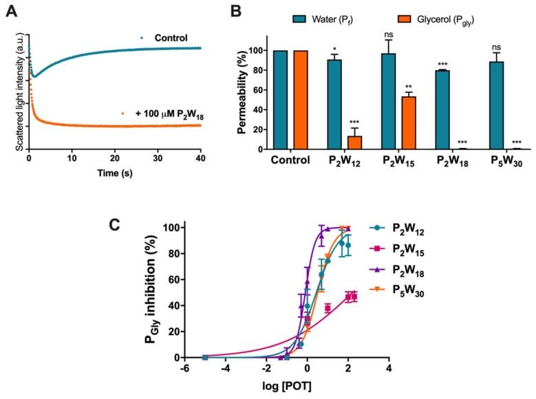 https://cdn.ncbi.nlm.nih.gov/pmc/blobs/8a4f/7177757/cde8718b8170/ijms-21-02467-g002.jpg